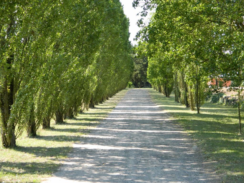 Gite De Cray Lussault-sur-Loire Екстериор снимка